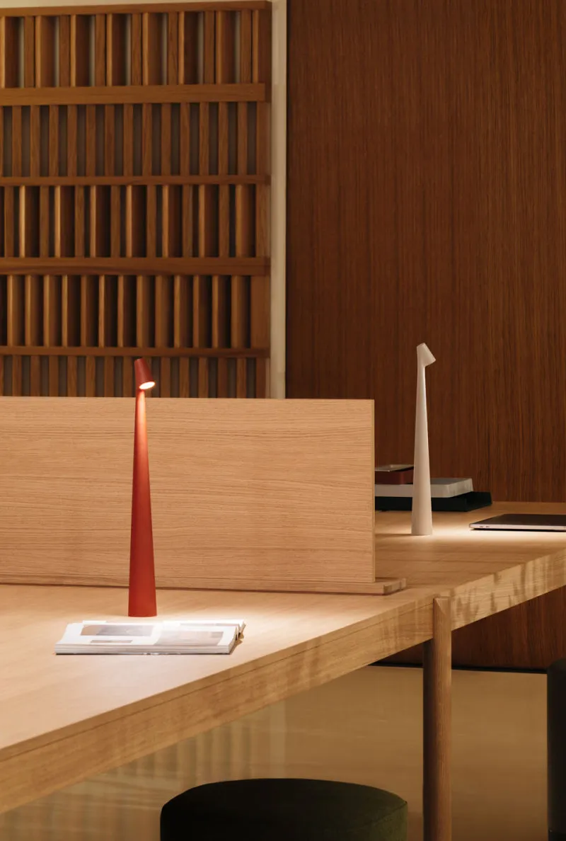 Africa Portable Table Lamp