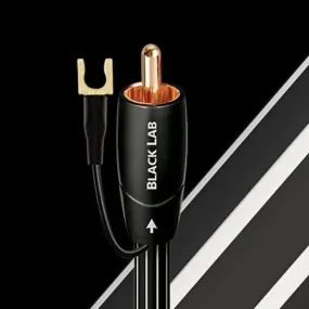 AudioQuest Black Lab 2M Subwoofer Cable with chassis ground connector