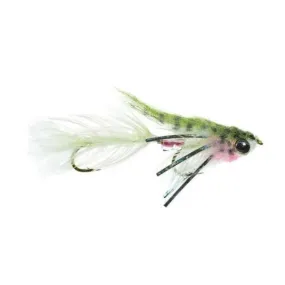 Baby Gonga - Rainbow - Size 8