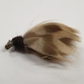 Cordulid