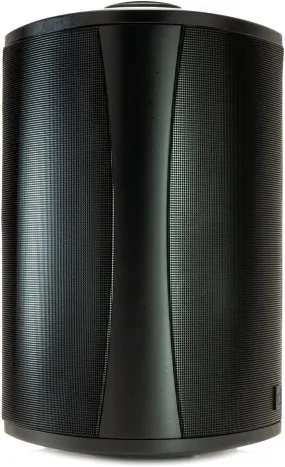 Definitive Technology AW 5500 All Weather Speaker with Bracket (Each)