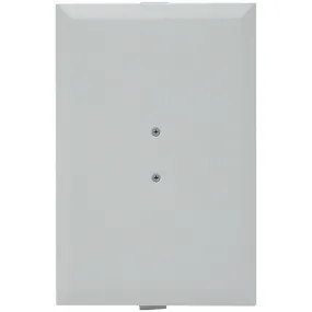 Emphasys EM0052600 CPW60 6.5" In-Wall Cover Plates, 2 pk