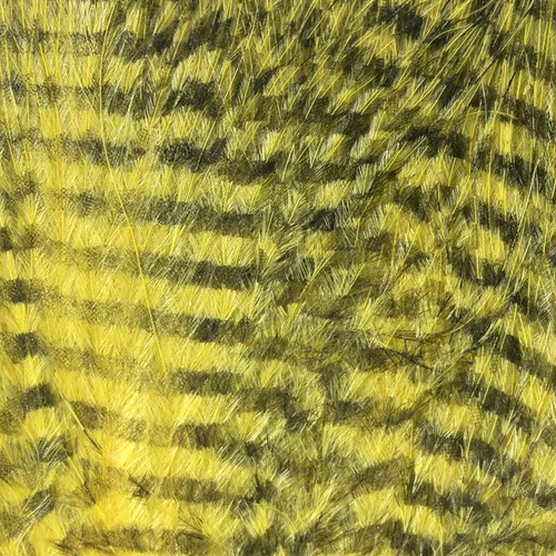 Fine Black Barred Marabou