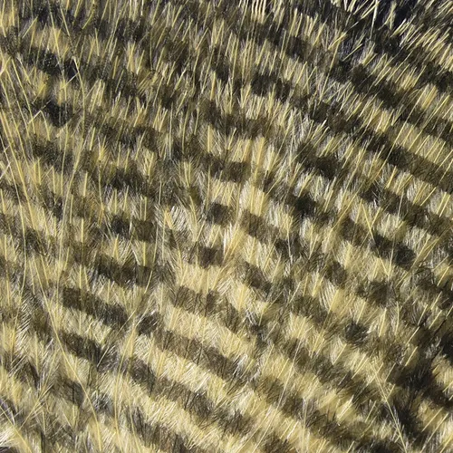 Fine Black Barred Marabou