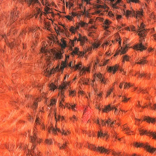 Fine Black Barred Marabou