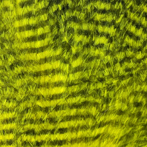 Fine Black Barred Marabou