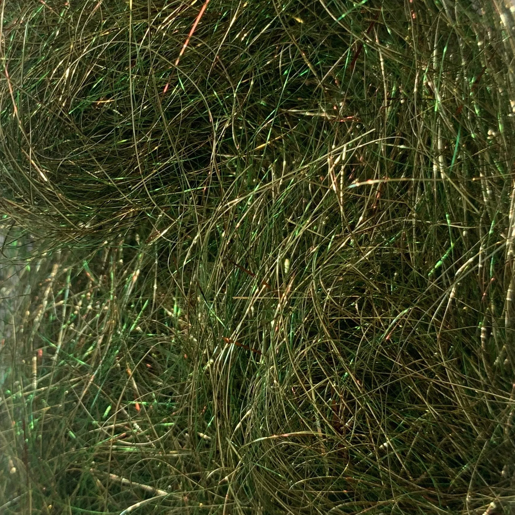 Ice Wing Fiber
