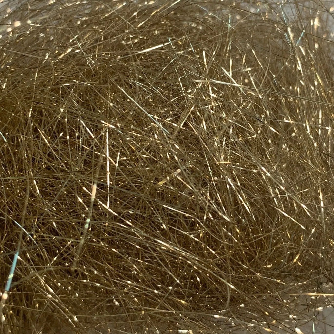 Ice Wing Fiber