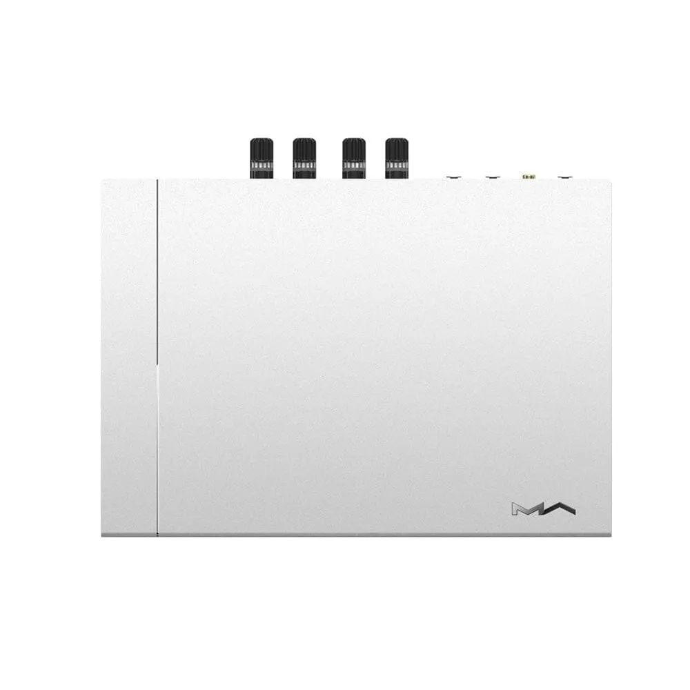 Matrix Element P2 Power Amplifier Class D Amplification Speaker Amplifier