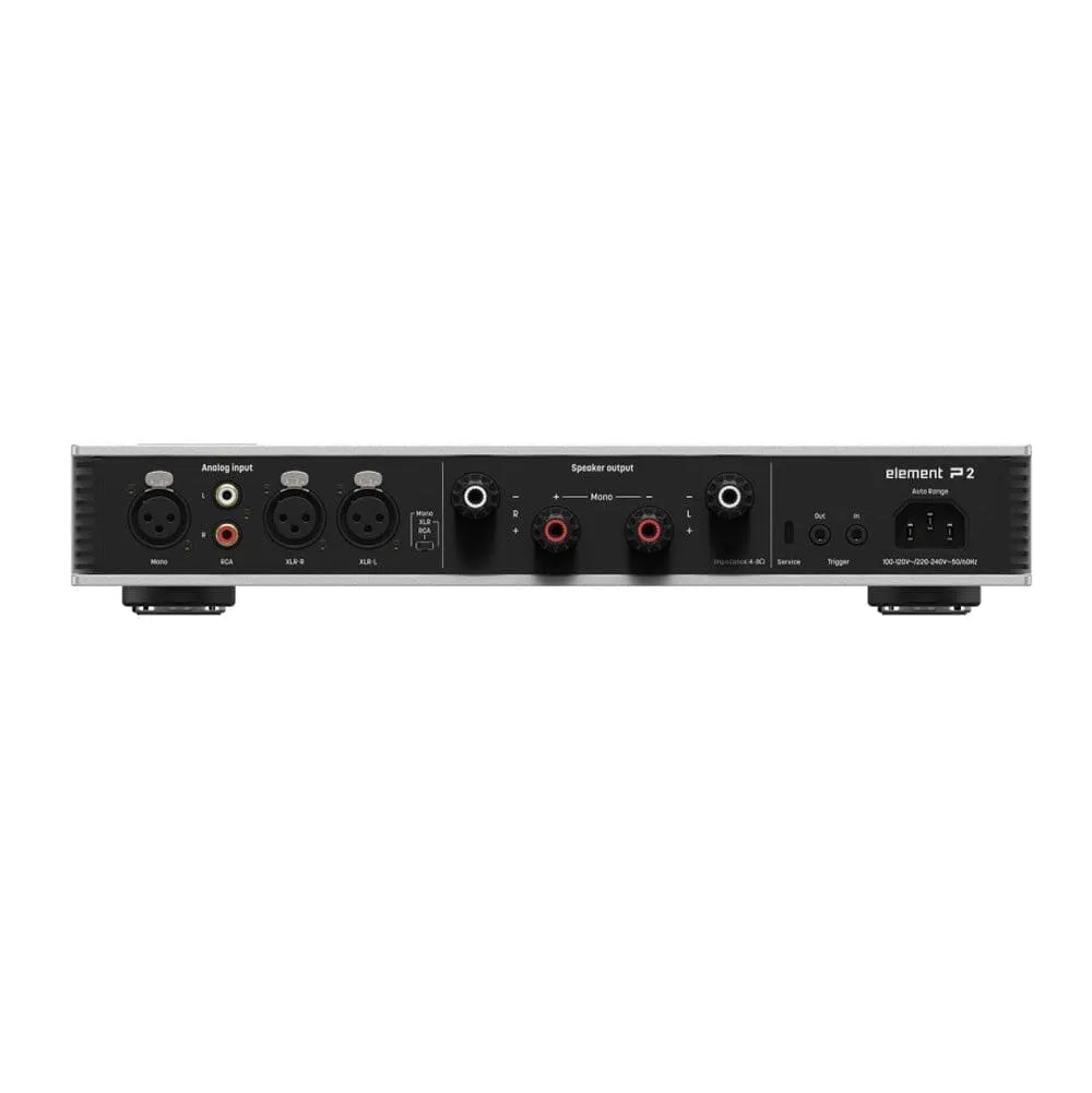 Matrix Element P2 Power Amplifier Class D Amplification Speaker Amplifier