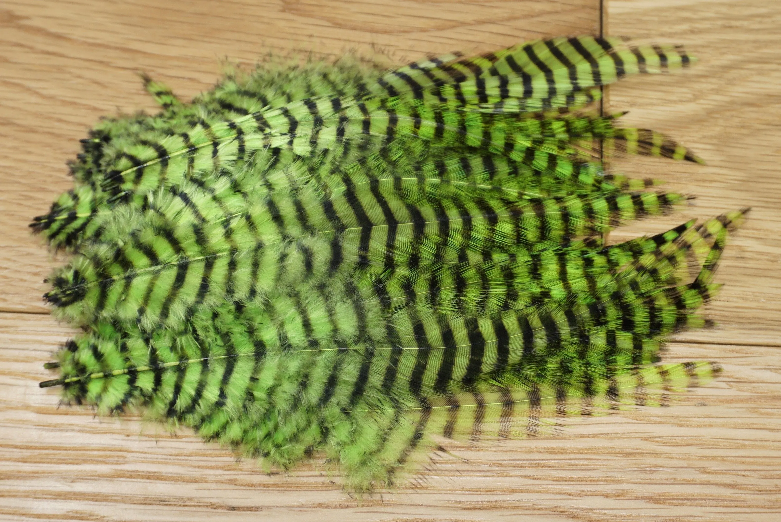 MFC Barred Saddle Hackle