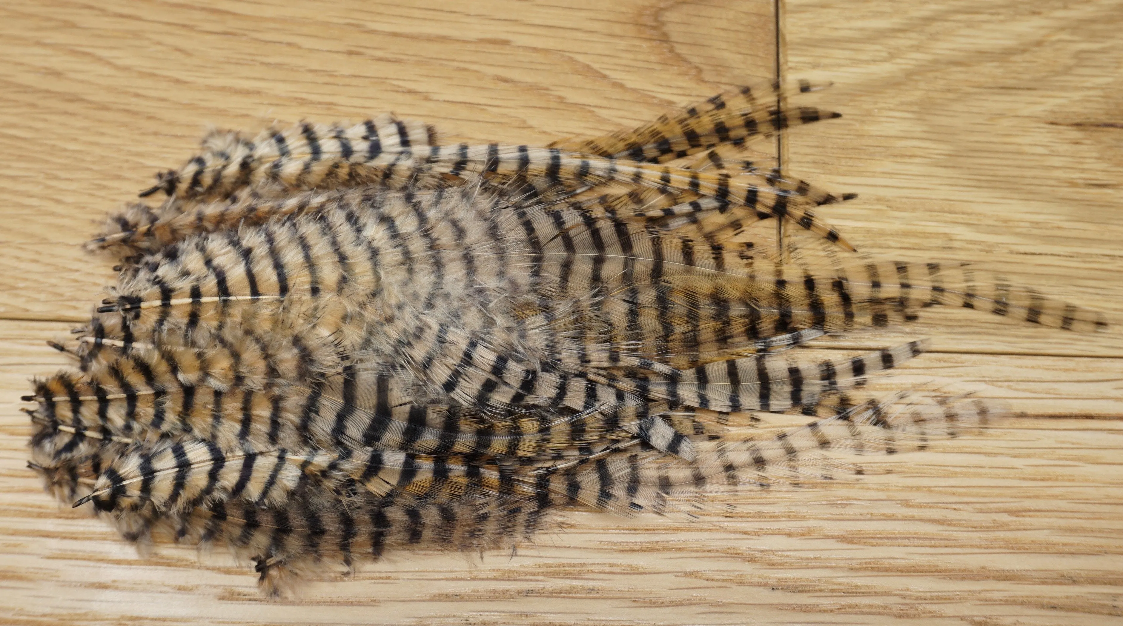 MFC Barred Saddle Hackle
