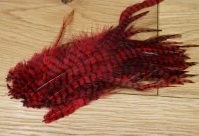 MFC Barred Saddle Hackle