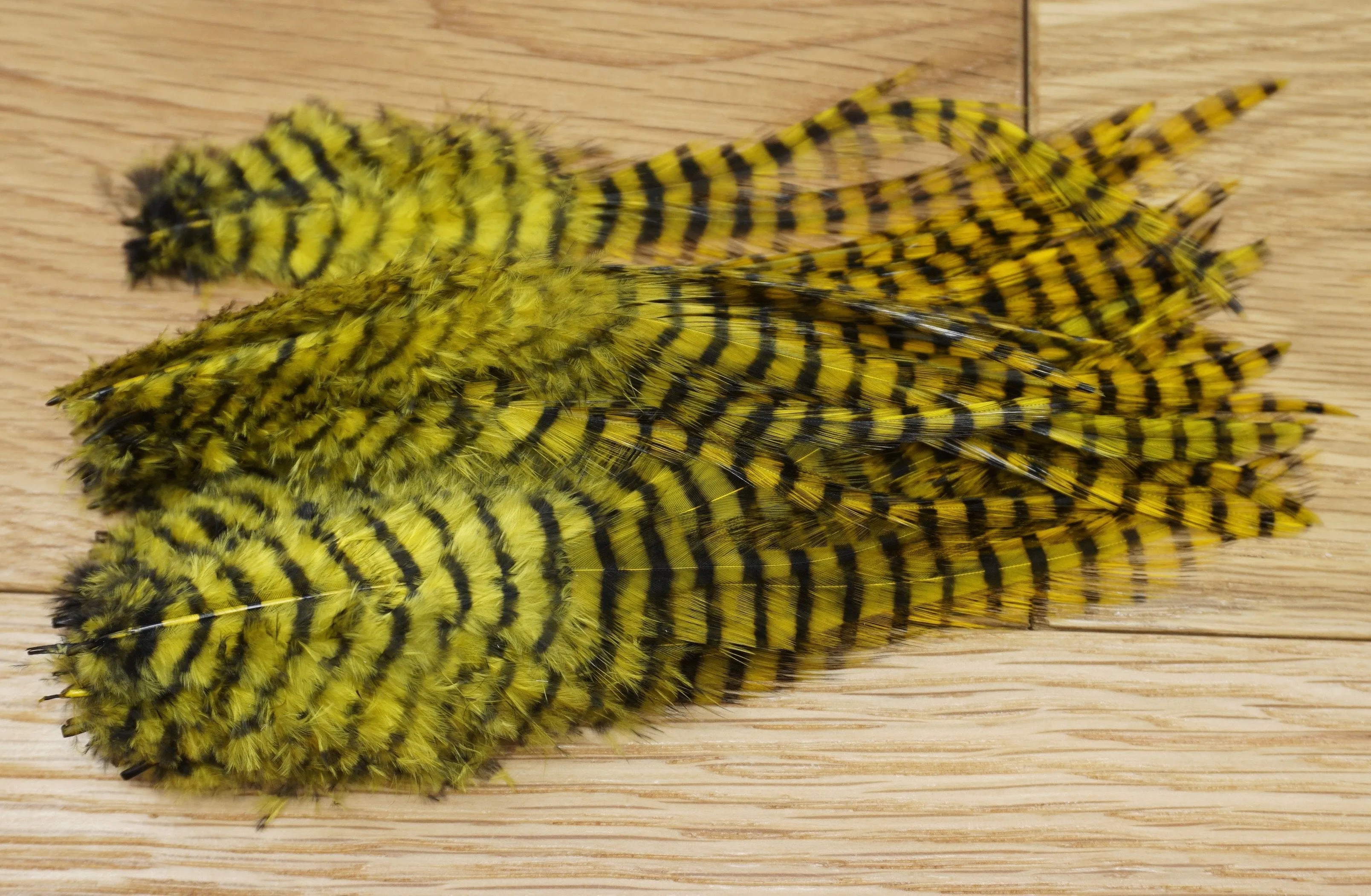 MFC Barred Saddle Hackle