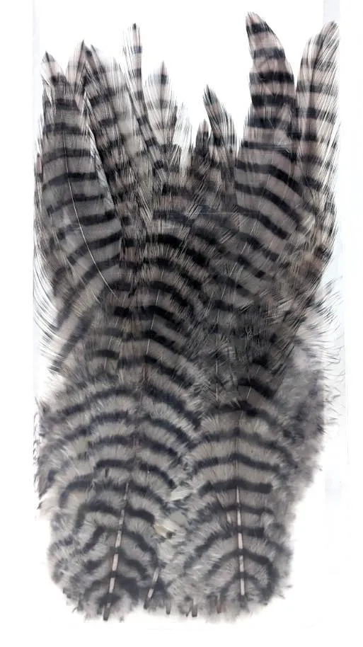 MFC Barred Saddle Hackle