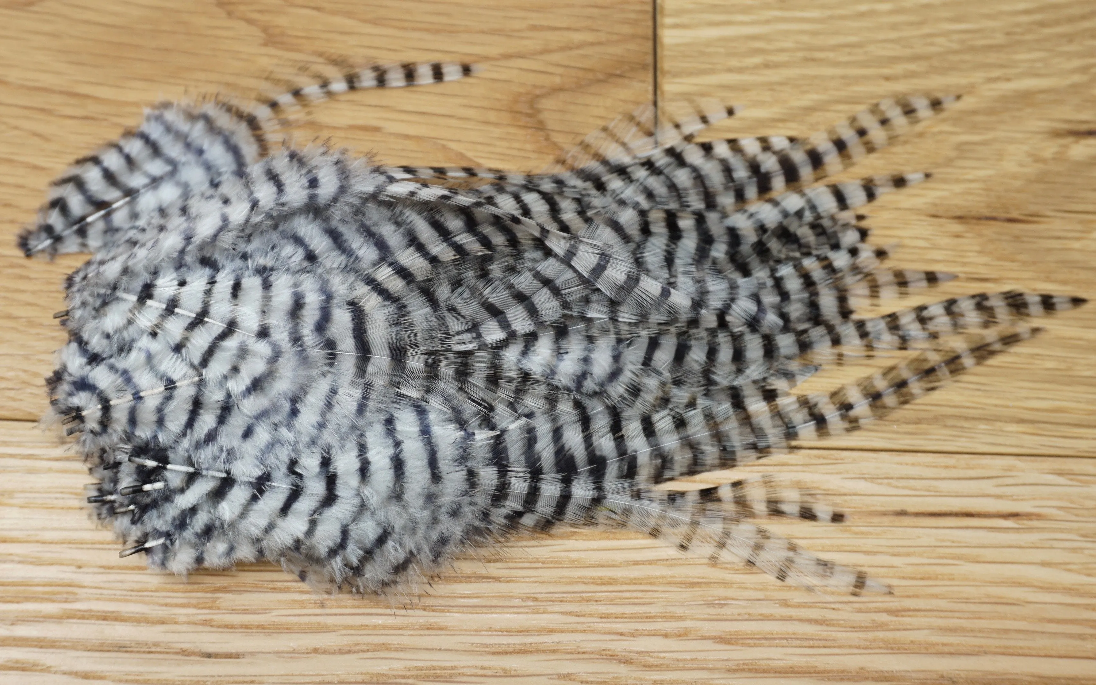 MFC Barred Saddle Hackle