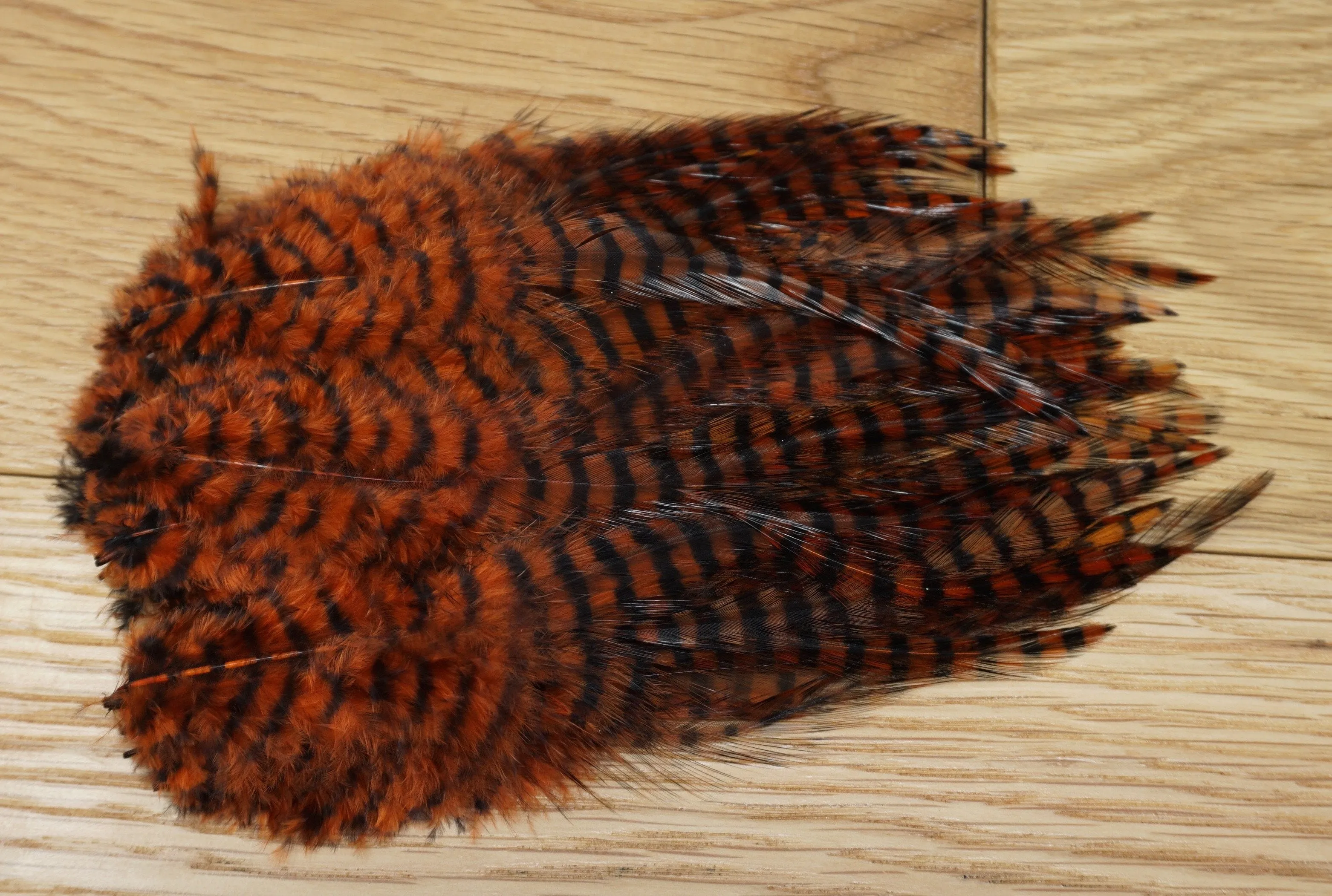 MFC Barred Saddle Hackle