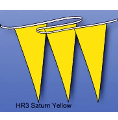 Multicolored Hurricane Pennant/Streamer