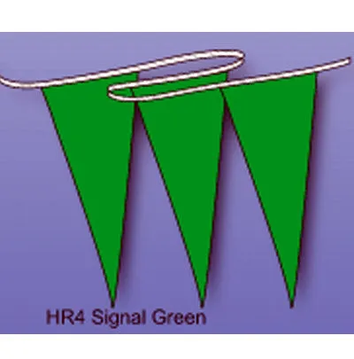 Multicolored Hurricane Pennant/Streamer