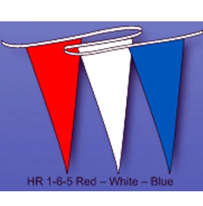 Multicolored Hurricane Pennant/Streamer