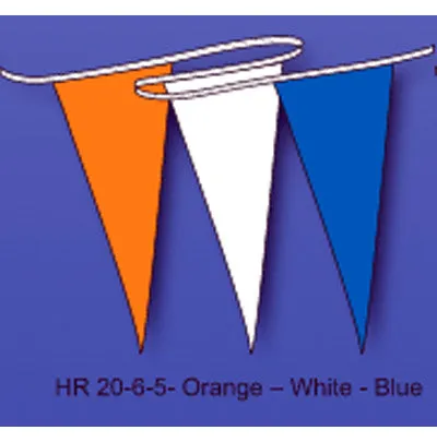Multicolored Hurricane Pennant/Streamer
