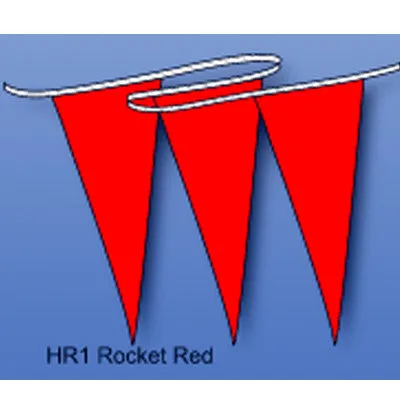 Multicolored Hurricane Pennant/Streamer