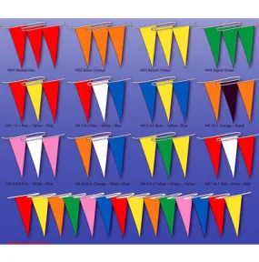 Multicolored Hurricane Pennant/Streamer