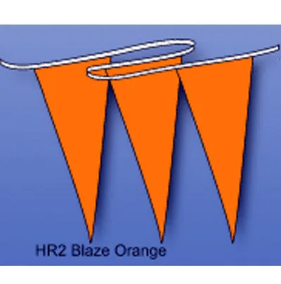 Multicolored Hurricane Pennant/Streamer