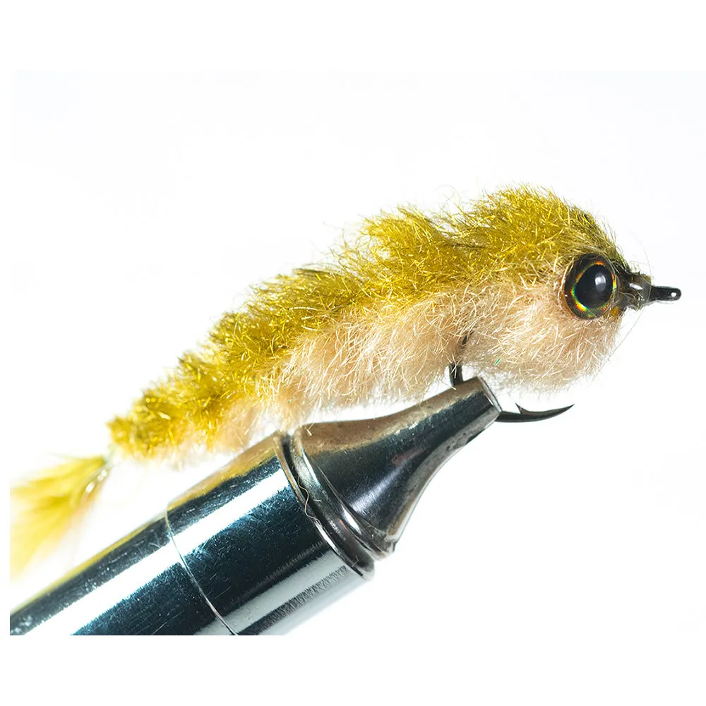 Next Minnow Changer