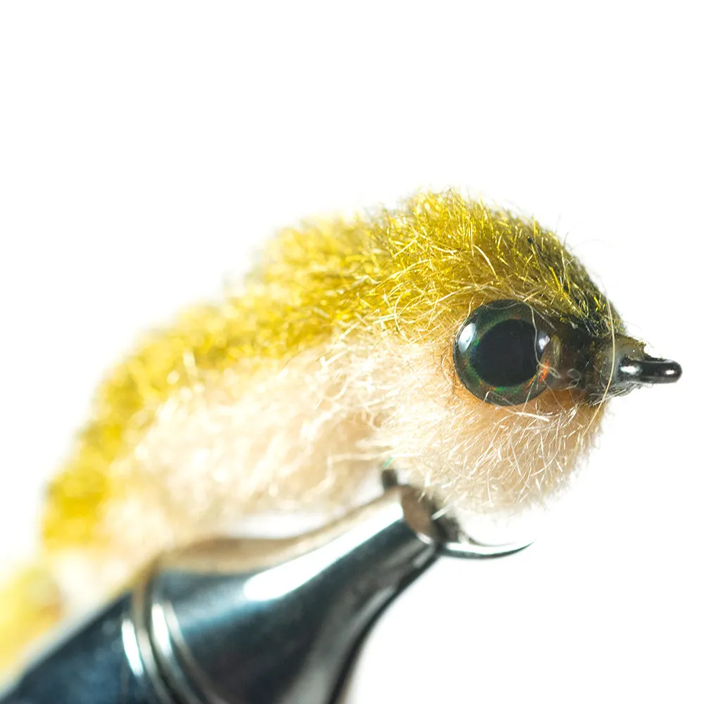 Next Minnow Changer
