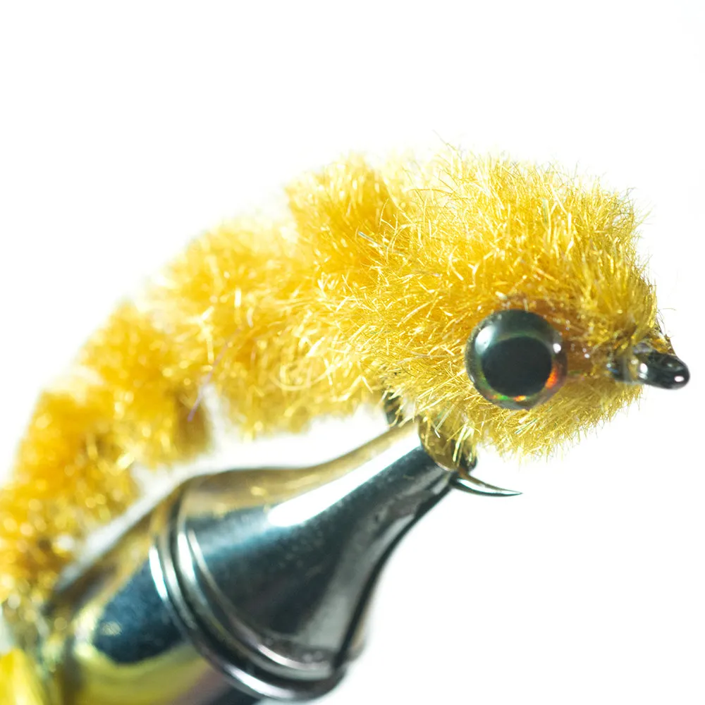 Next Minnow Changer