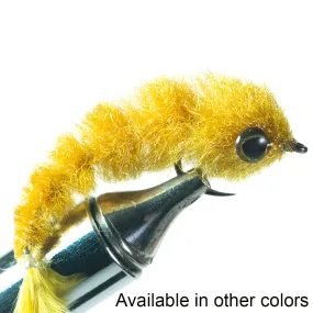 Next Minnow Changer