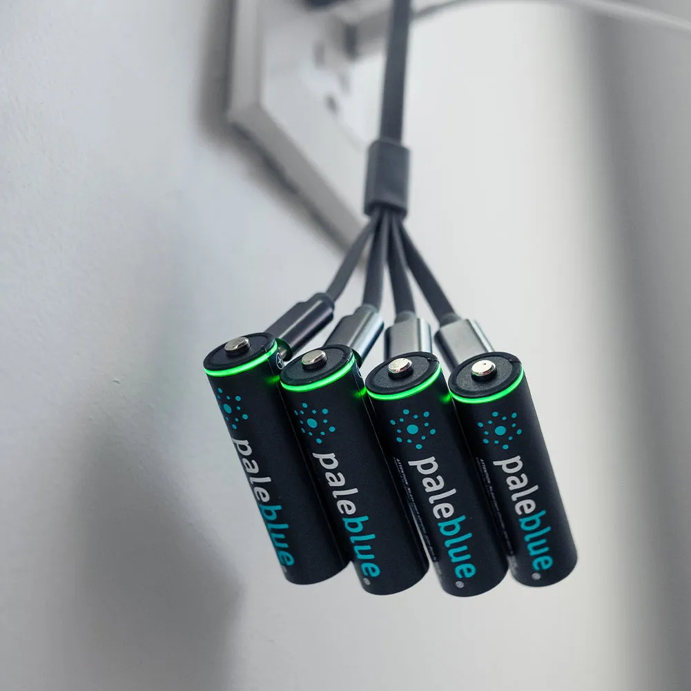 PaleBlue AA Lithium Ion USB-C Rechargeable Batteries (4 Pack)