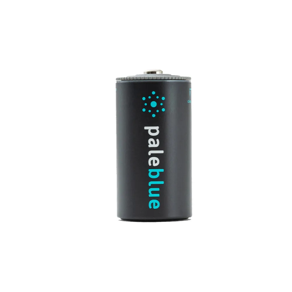 PaleBlue C Lithium Ion USB-C Rechargeable Batteries (2 Pack)