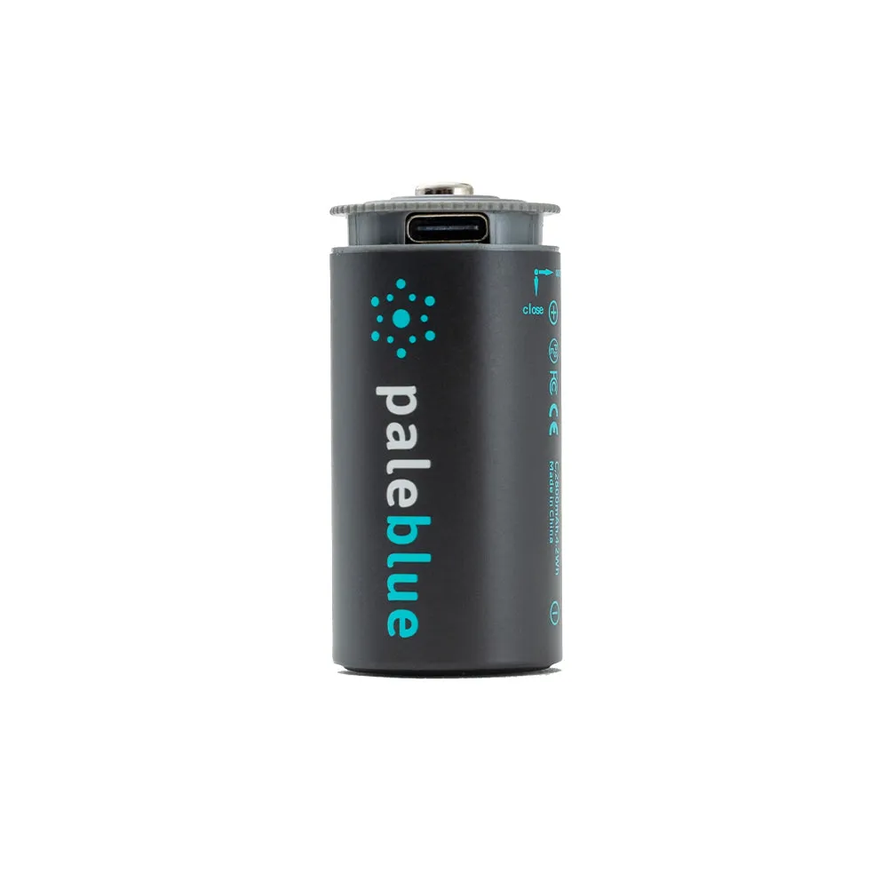 PaleBlue C Lithium Ion USB-C Rechargeable Batteries (2 Pack)