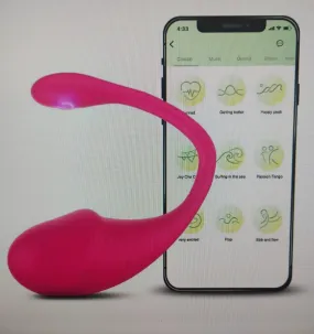 Remote Control App Vibrator, 9 Speeds Full Silicone Sexy Vibrating Egg, Rose Toy Female G-Spot Orgasm Vibrating Masturbation Device, V