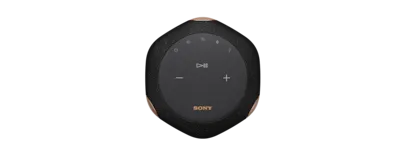 SRS-RA3000 Premium Wireless Speaker with Ambient Room-filling Sound