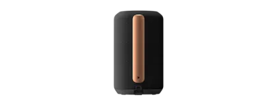 SRS-RA3000 Premium Wireless Speaker with Ambient Room-filling Sound