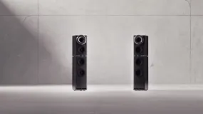 Stein Music HighLine "Bobby" M Loudspeaker