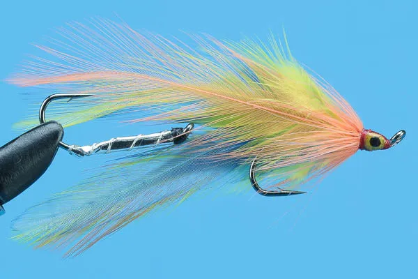 Tandem Aleck's Wonder