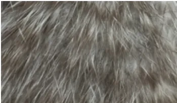 Whiting Mini Bird Fur
