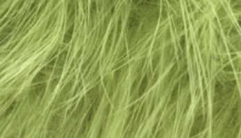 Whiting Mini Bird Fur