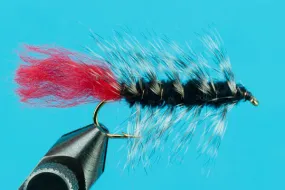 Woolly Worm